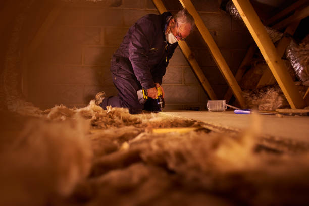 Best Cellulose Insulation in Sanford, CO